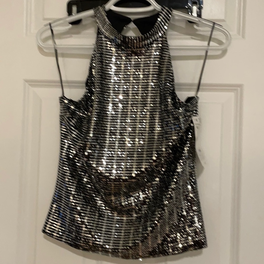 Zara Sequin Top
